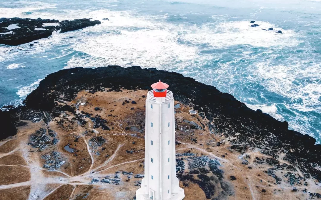 Rýni á stöðuskýrslu aðgerðaáætlunar