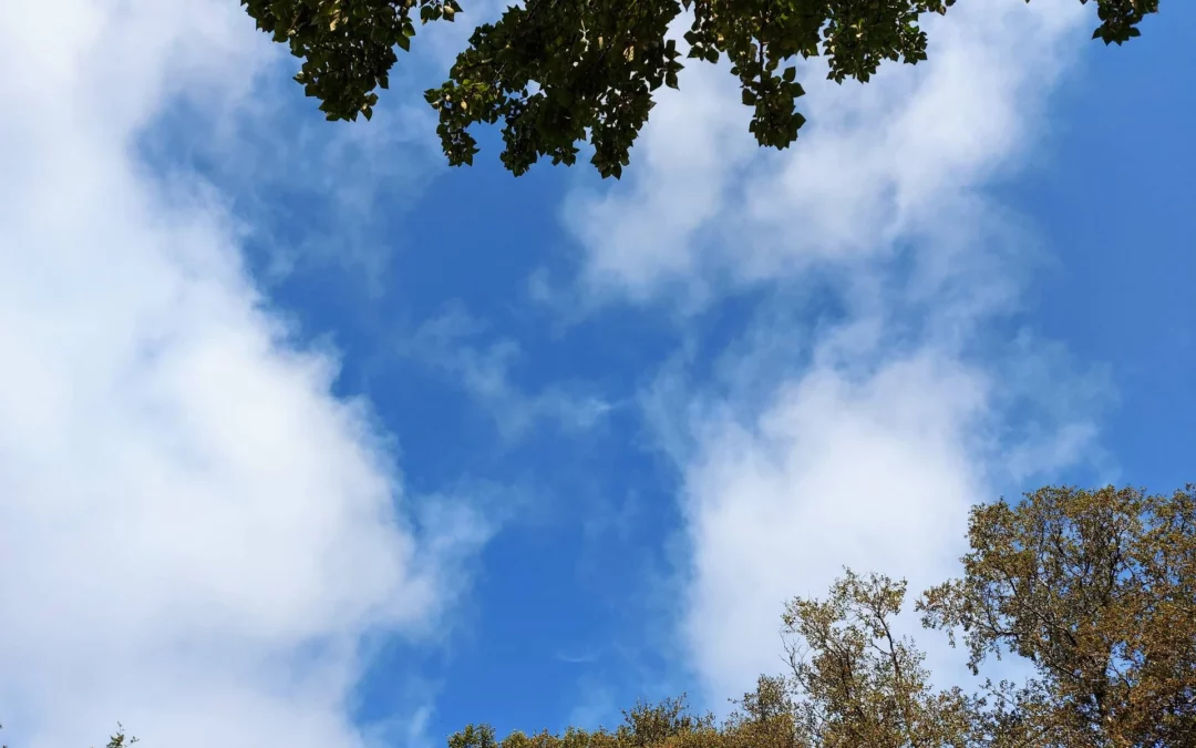 Breytingar á Loftslagsráði í undirbúningi hjá umhverfis-, orku- og loftslagsráðuneytinu