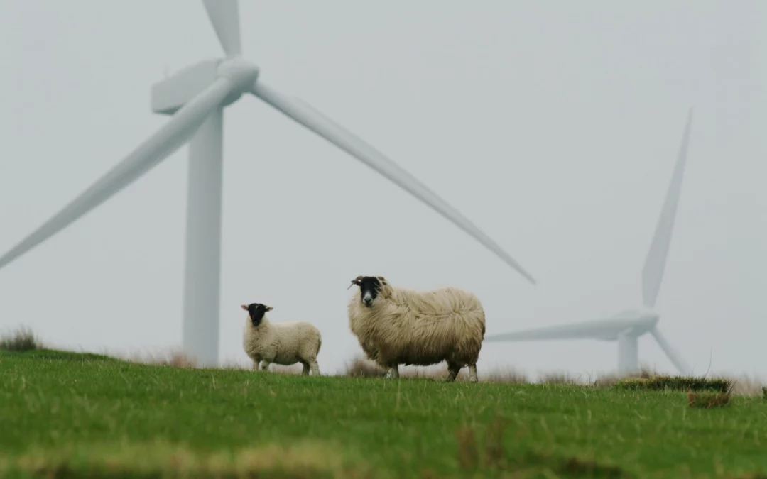 Metnaðarfull loftslagsmarkmið auka hagvöxt